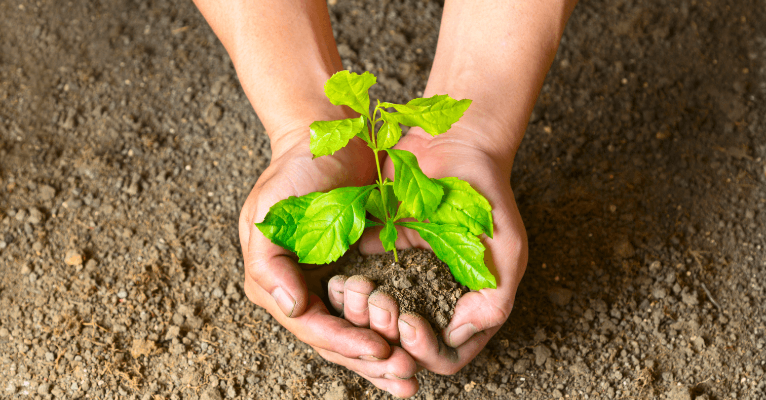 Huella Ecológica: qué es  y cómo se calcula