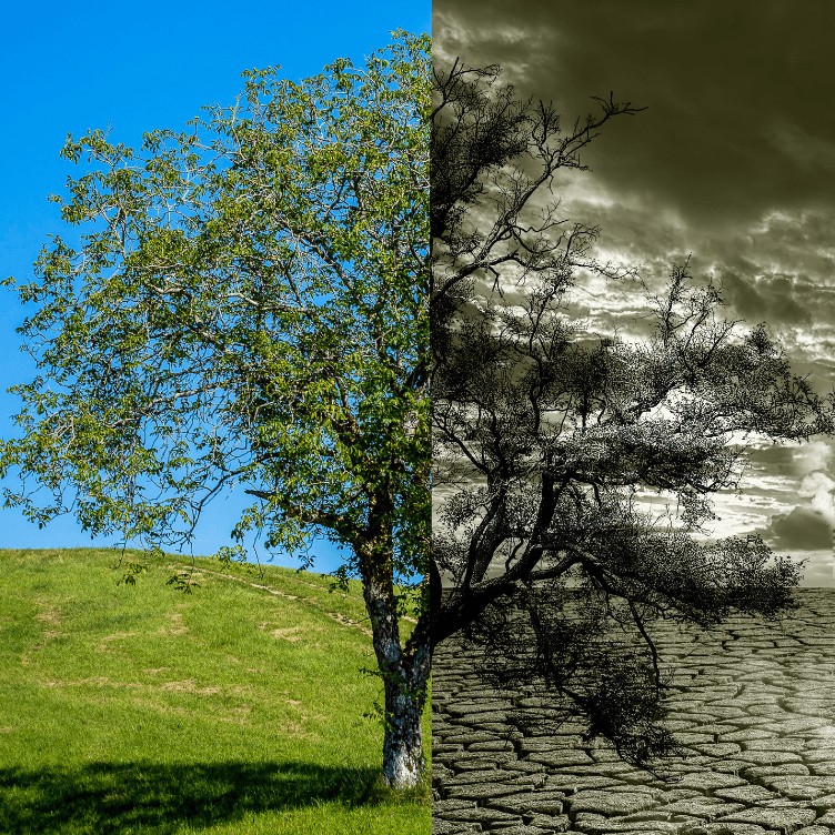 Ecoansiedad: qué es y cómo afecta a nuestras vidas