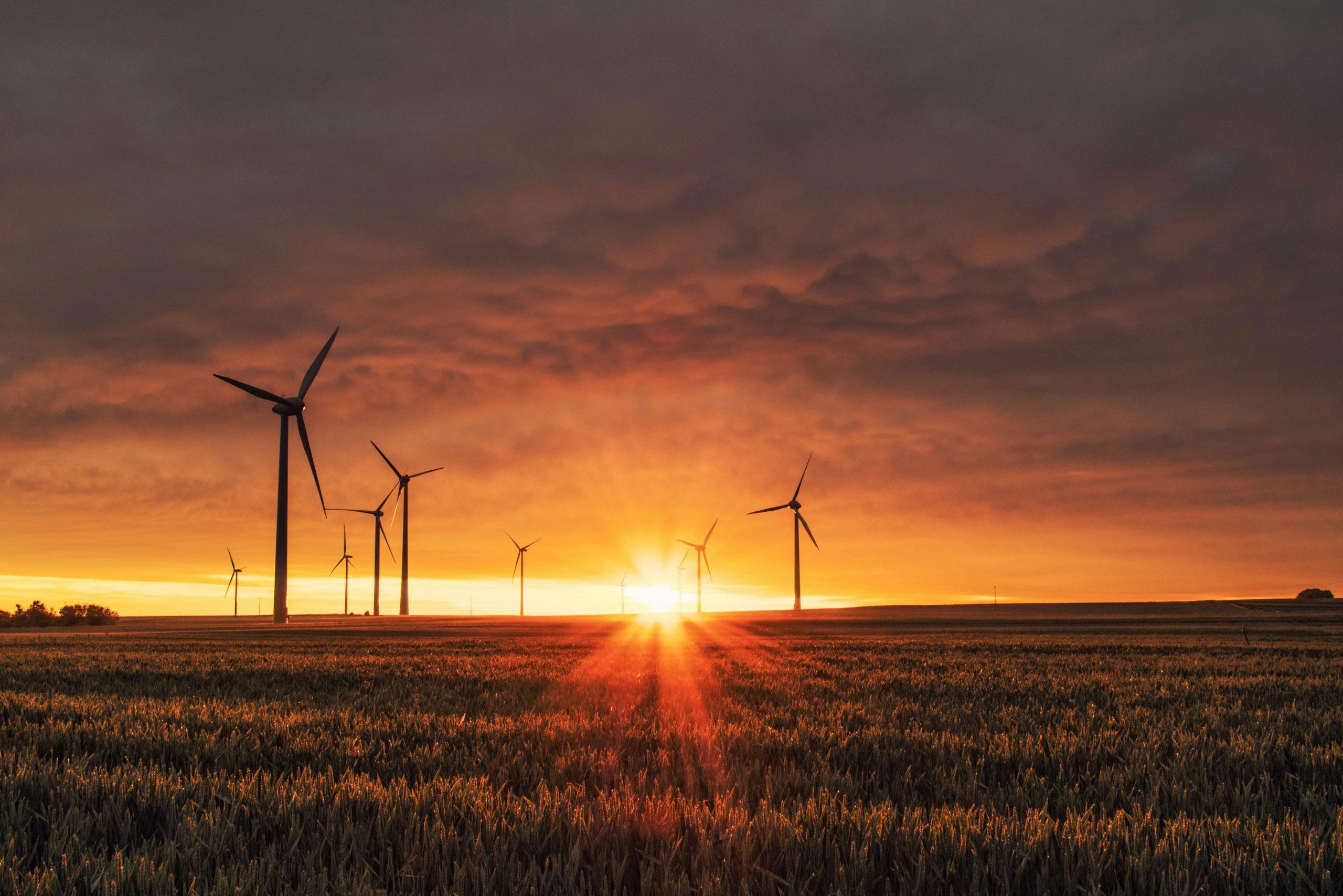 Energía eólica: el viento que marca el camino de la transición energética.