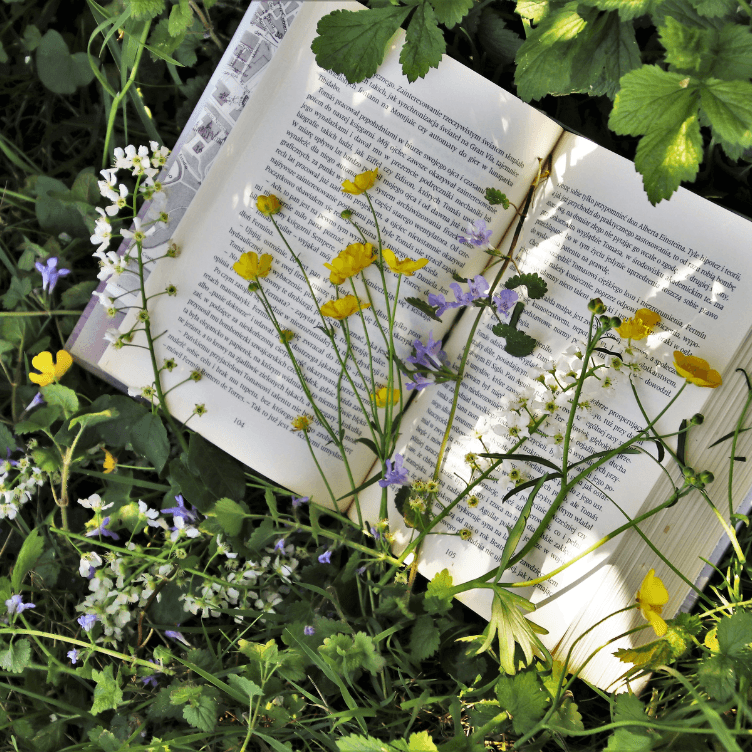 Día del Libro: 5 lecturas esenciales para una vida más sostenible