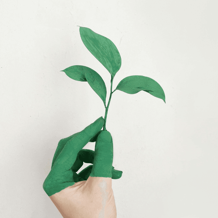 Greenwashing: qué es y cómo detectarlo