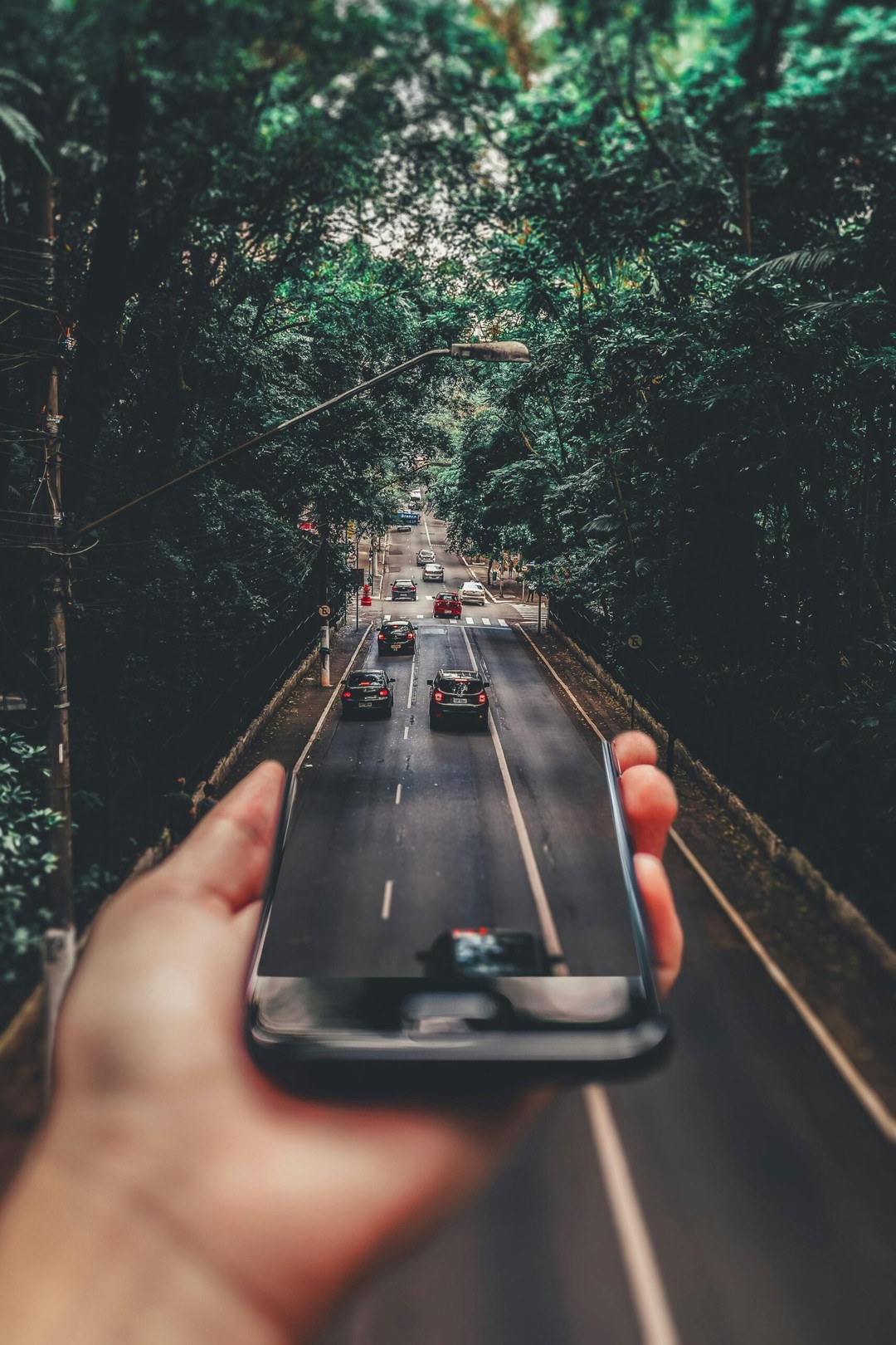 Cómo contribuir al futuro de la movilidad eléctrica