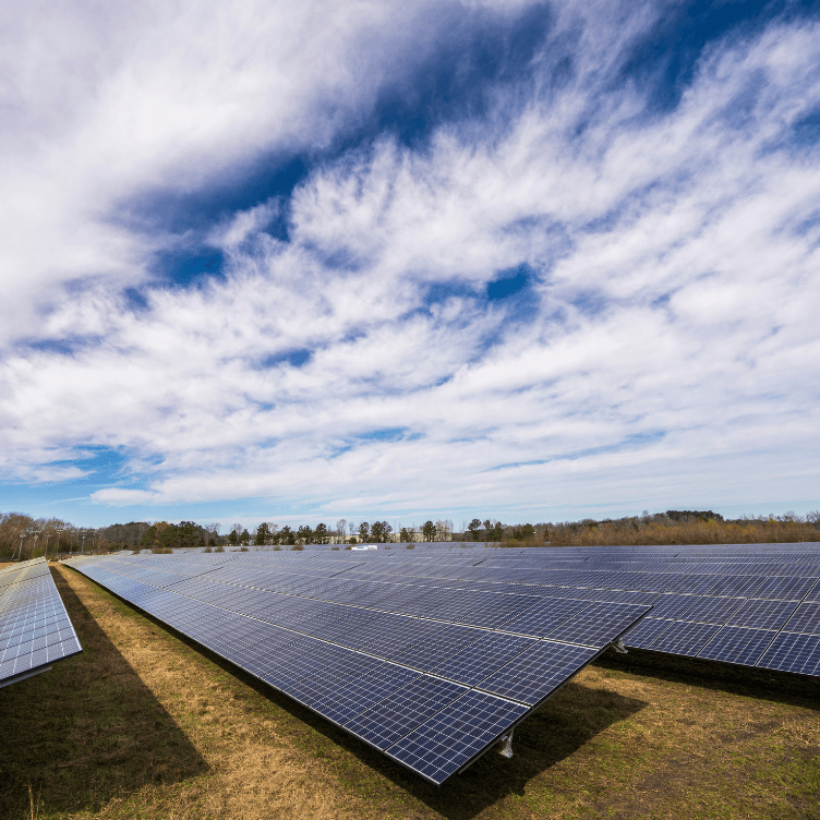 Huertos solares: Energía sostenible que une a las comunidades