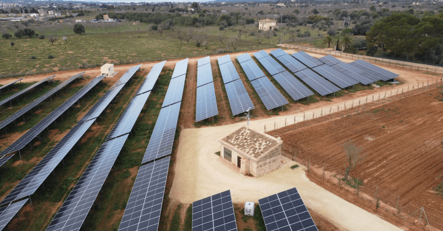 Renovables en Baleares 2026: cómo las islas se han puesto a la cabeza de la transición energética