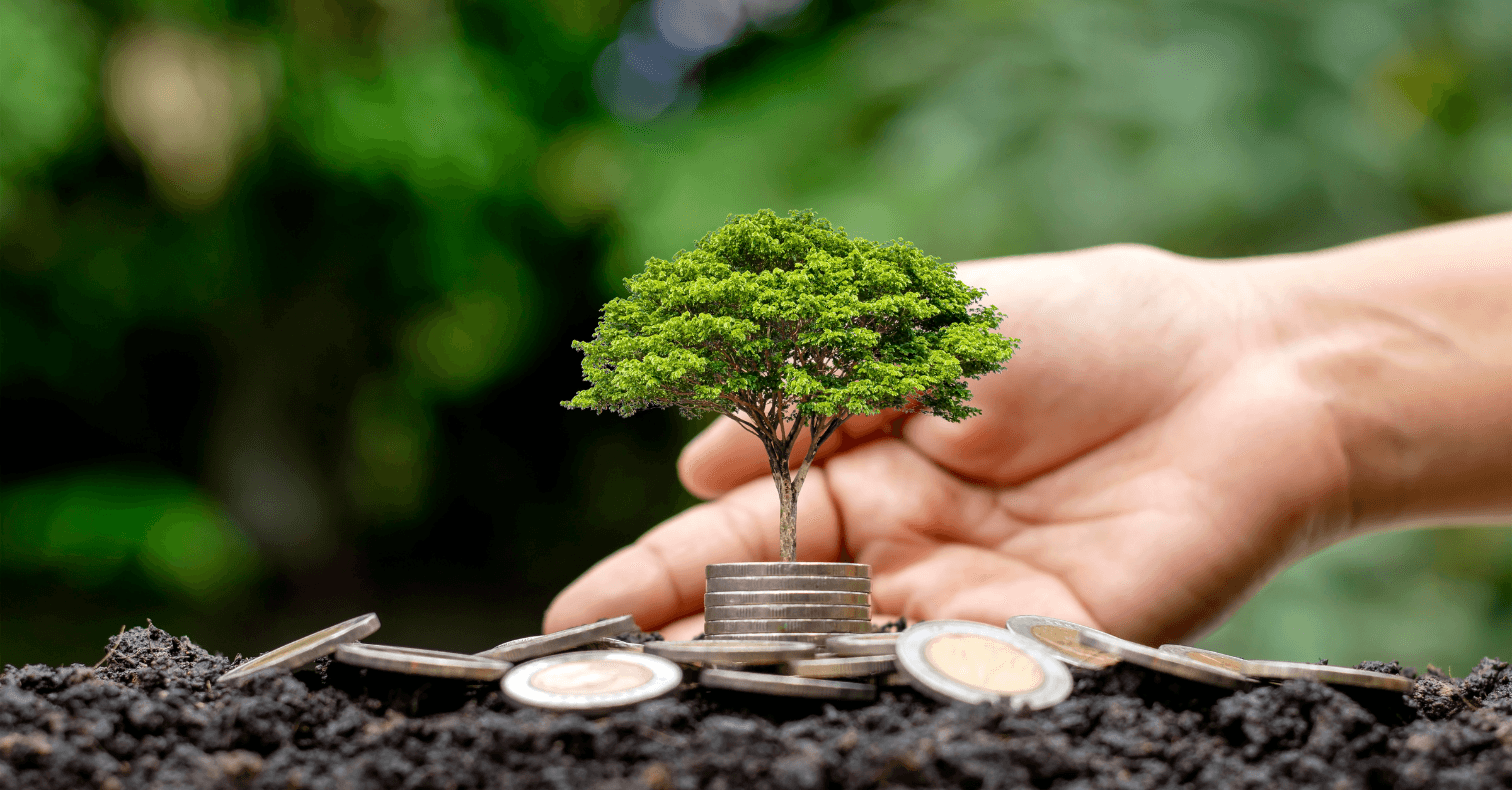 ¿Cómo invertir en energías renovables en 2026? Guía para empezar desde 500 €